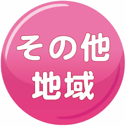 その他の地域